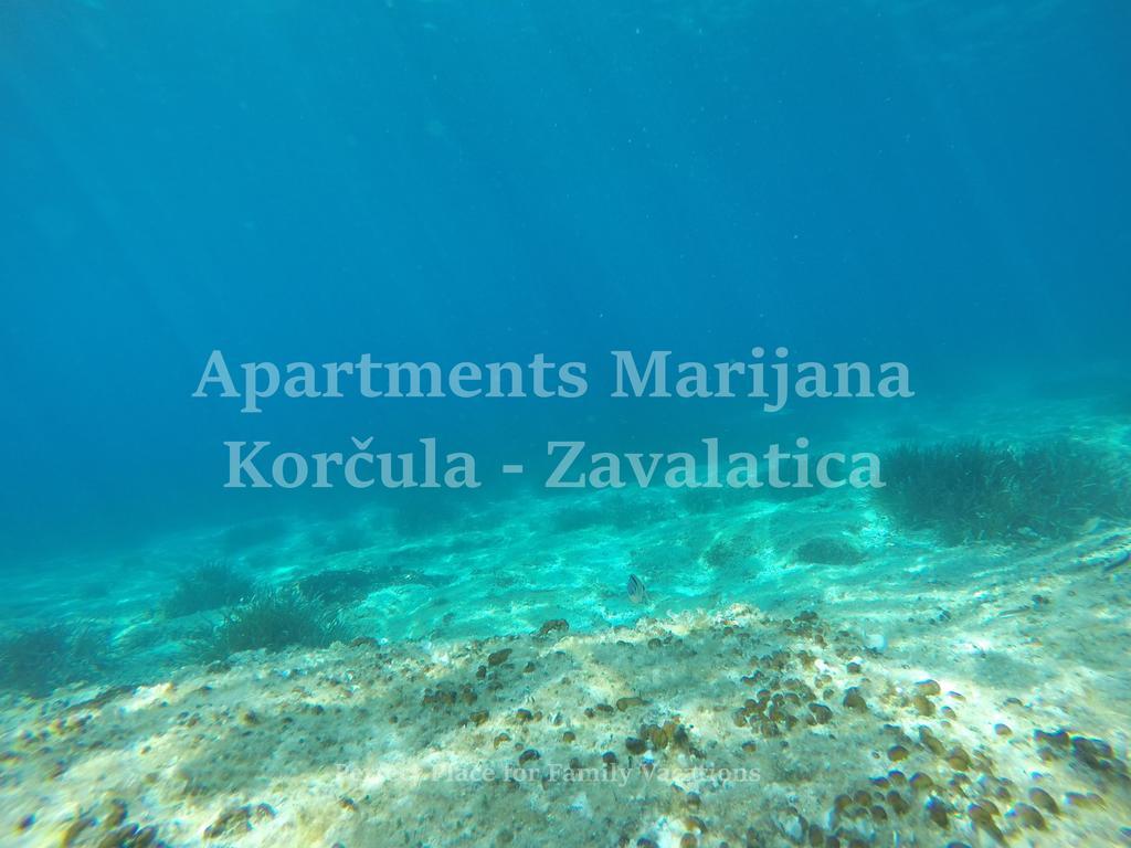 Apartments Marijana Zavalatica Ngoại thất bức ảnh